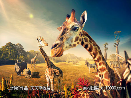 小动物创意合成海报广告设计 - 源文件