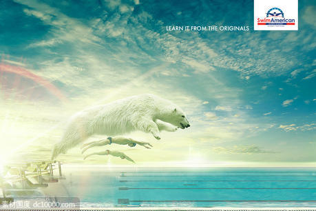 小动物合成萌宠表现创意海报广告设计