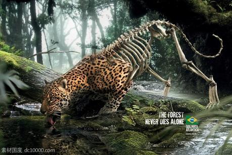 小动物合成萌宠表现创意海报广告设计