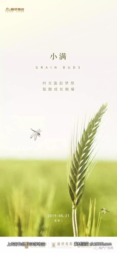 二十四节气小满地产海报精品 - 源文件