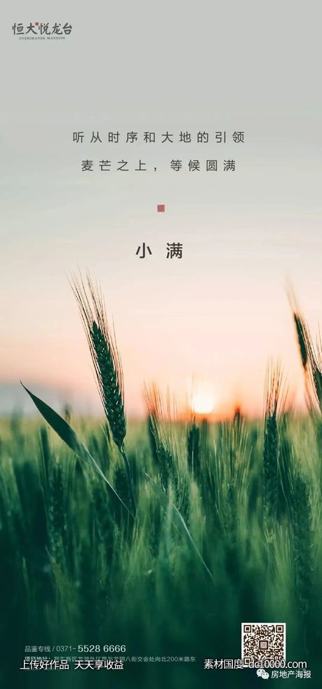 二十四节气小满地产海报 - 源文件