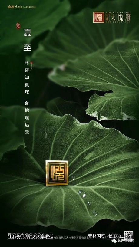 地产二十四节气夏至海报合集 - 源文件