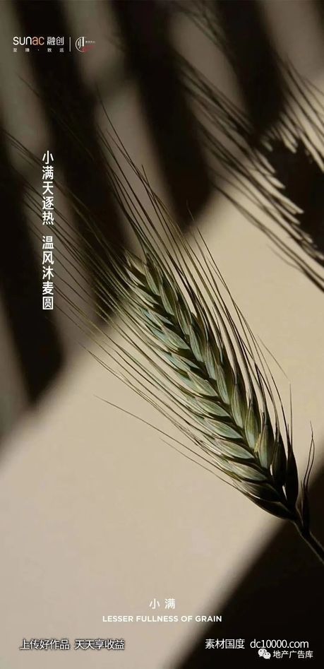 二十四节气小满节气海报精选 - 源文件
