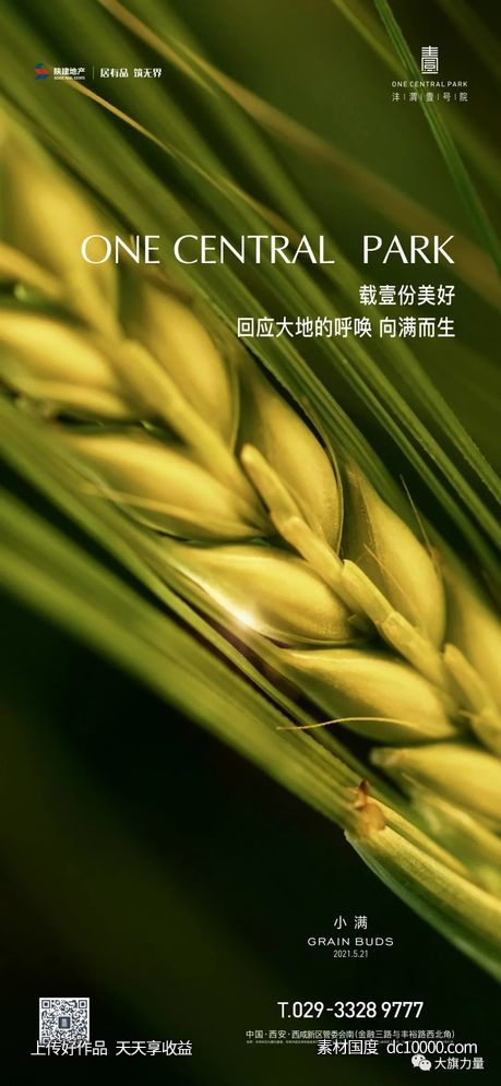 节气小满海报欣赏 - 源文件