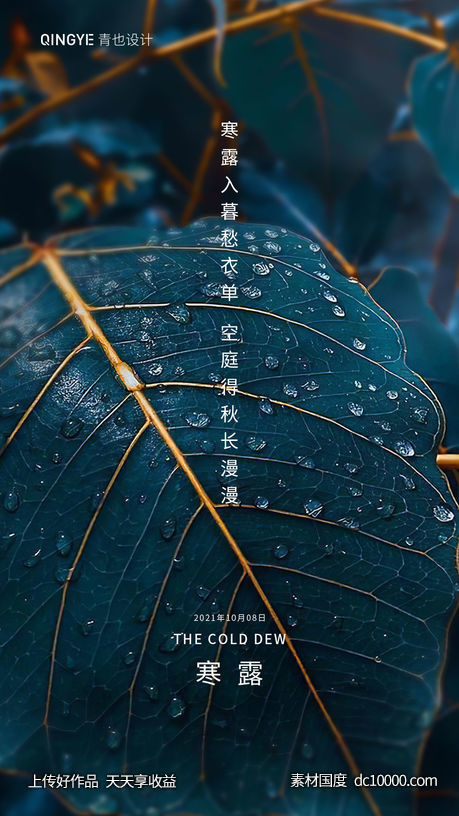  - 源文件
