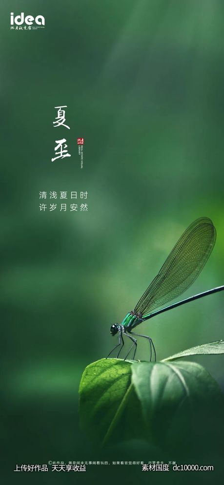 夏至_节气海报设计欣赏 - 源文件