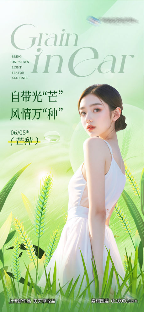 医美美业芒种节气海报 - 源文件