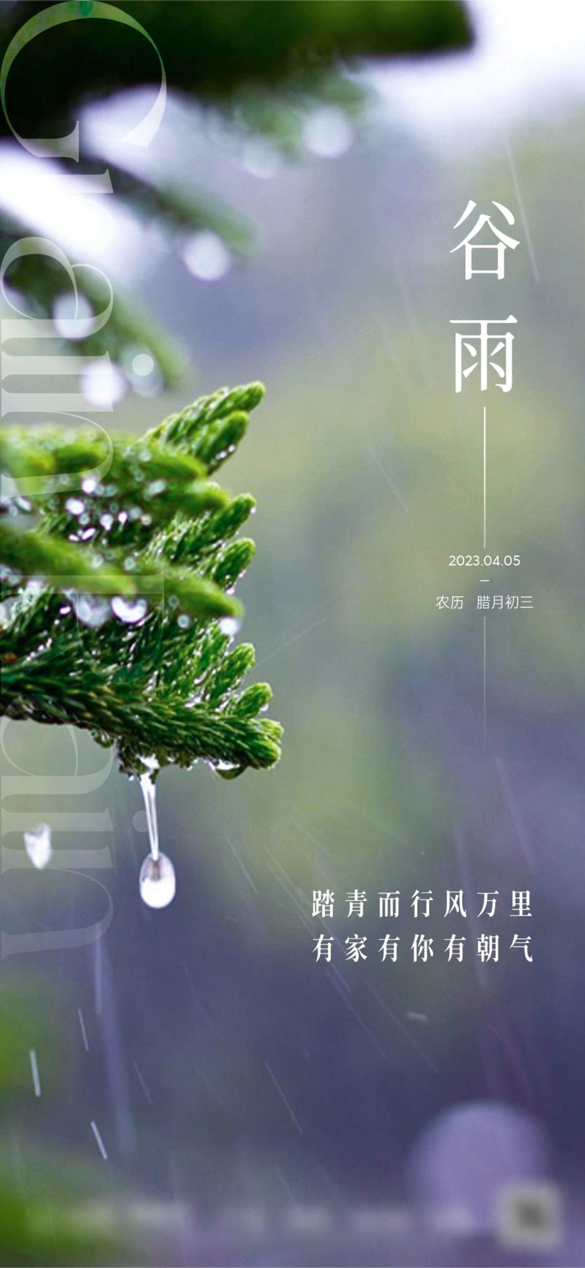 谷雨清明雨水节气海报