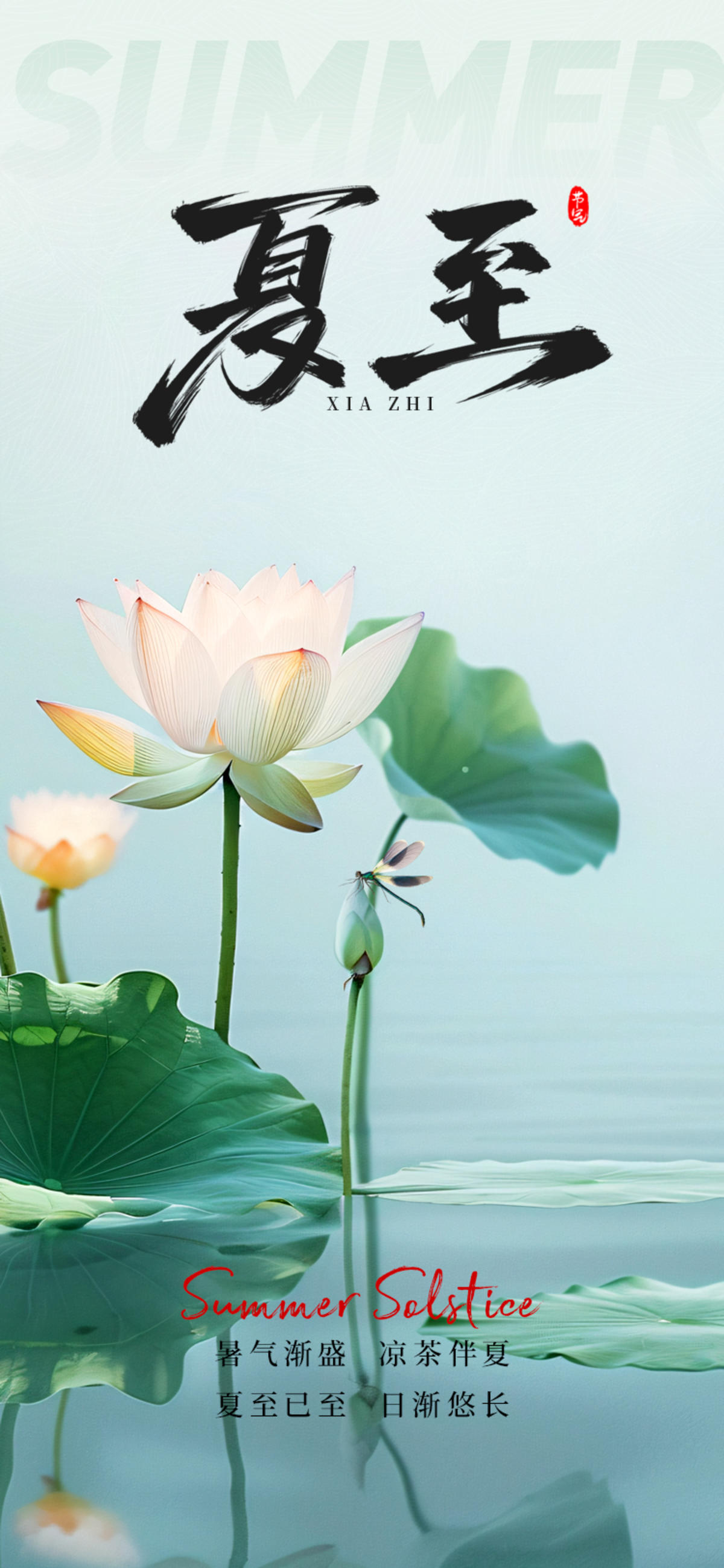 夏至节气海报