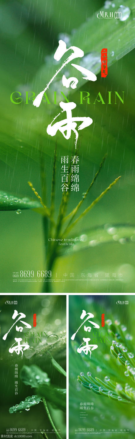 谷雨 雨水植物节气海报 - 源文件