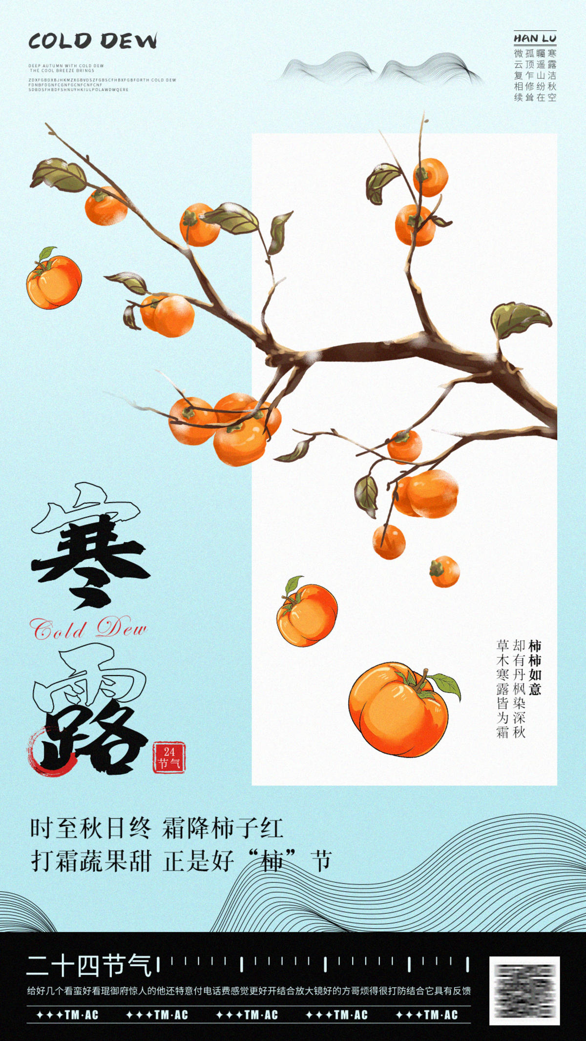 寒露白露节气海报