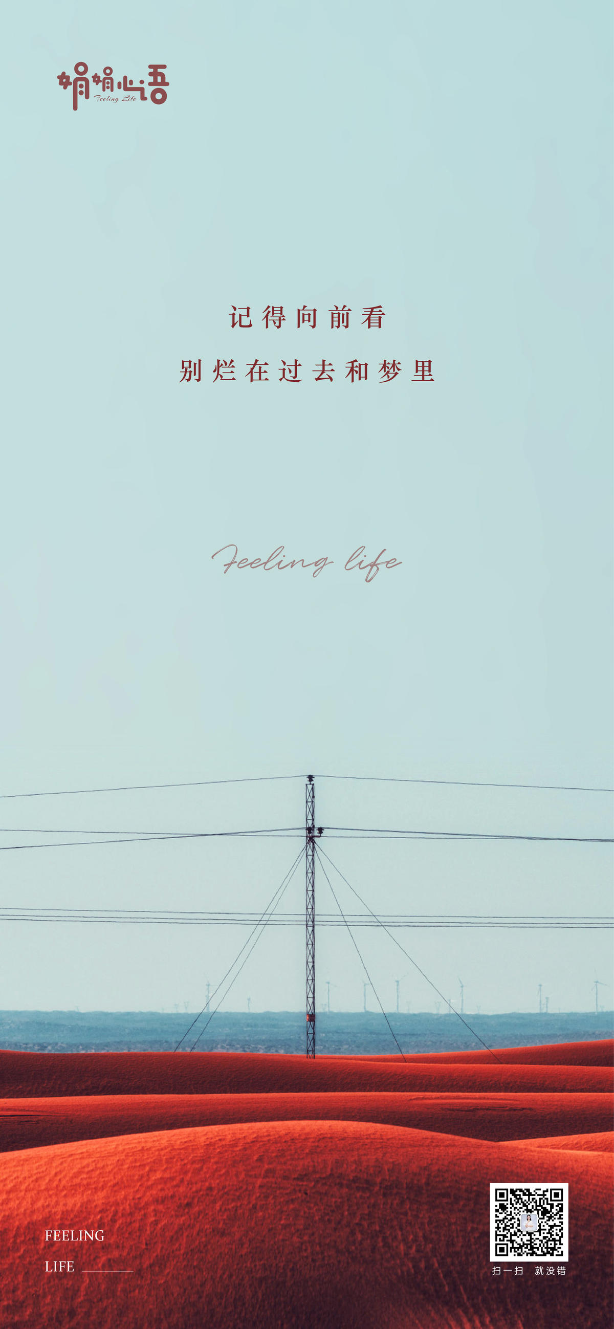 每日一图
