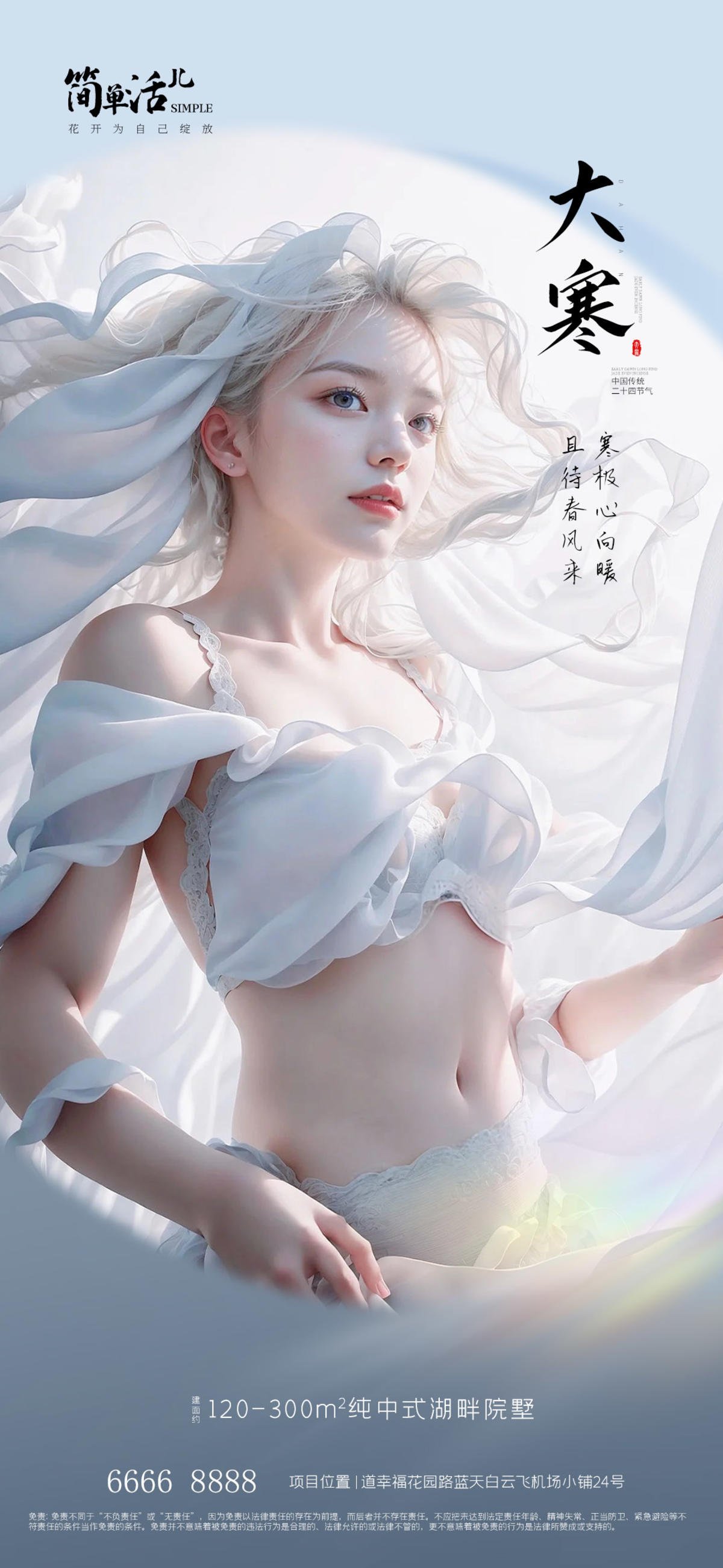 地产大寒海报
