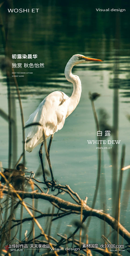 白露-源文件-素材国度dc10000.com