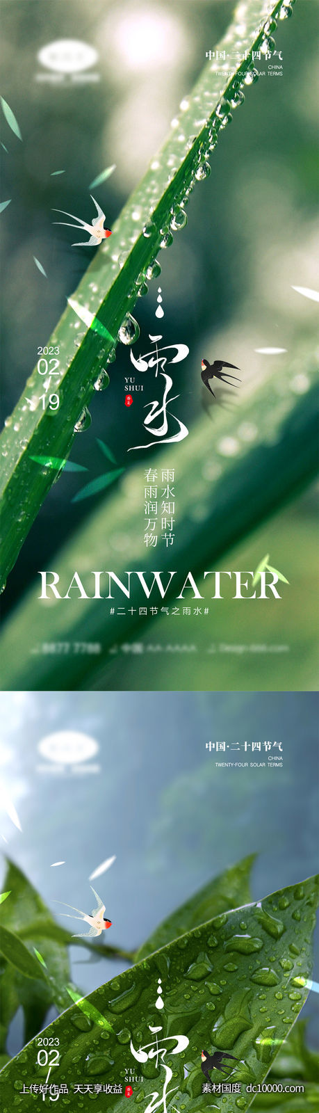 雨水节气海报 - 源文件