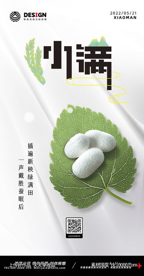 小满 节气 稻田-源文件-素材国度dc10000.com