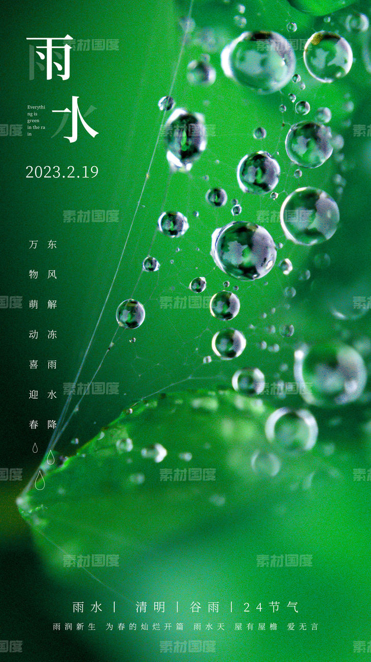 雨水白露竹叶蜻蜓节气海报