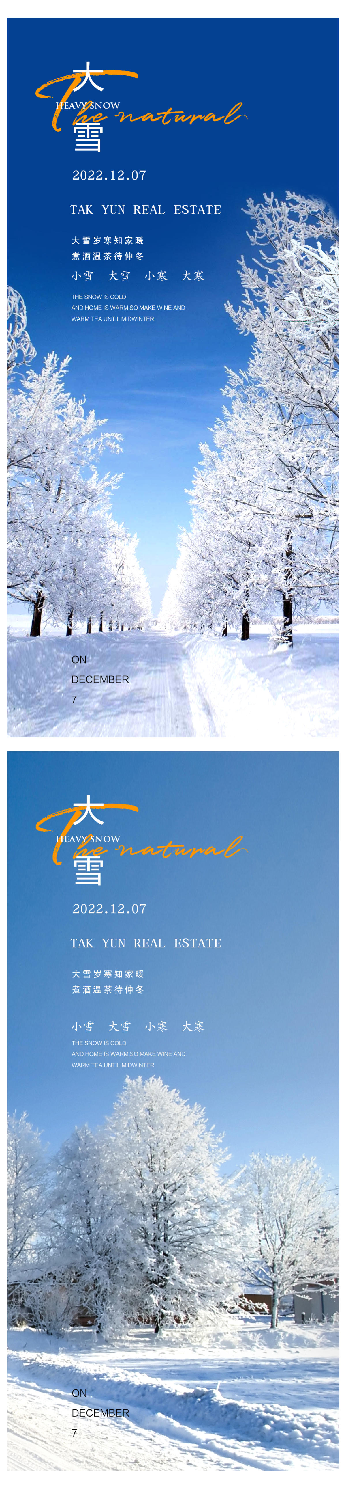 大雪小寒大寒海报