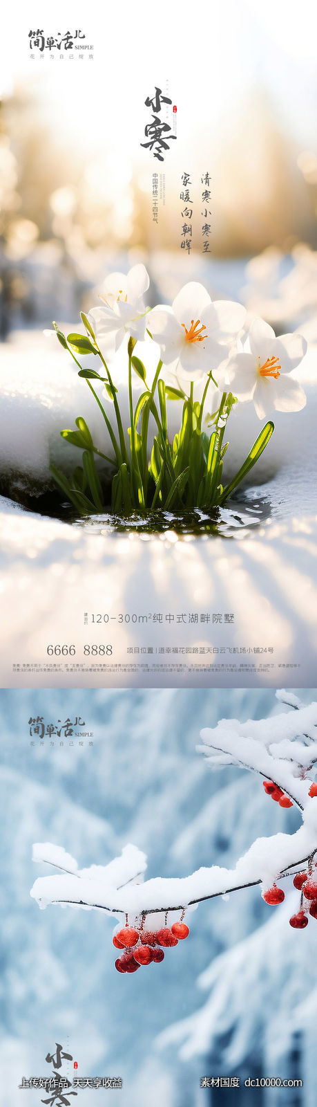 地产小寒大寒海报-源文件-素材国度dc10000.com