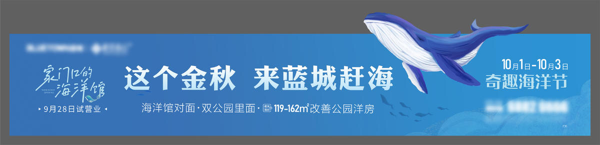 海洋  海豚