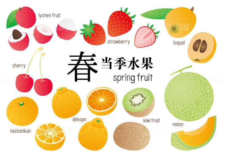 春日水果插画