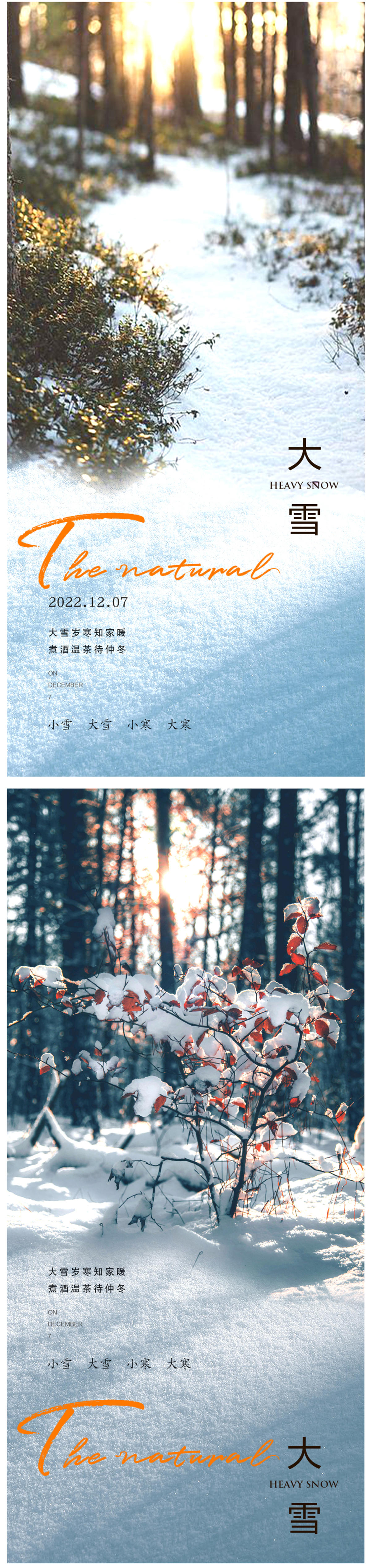 大雪节气海报