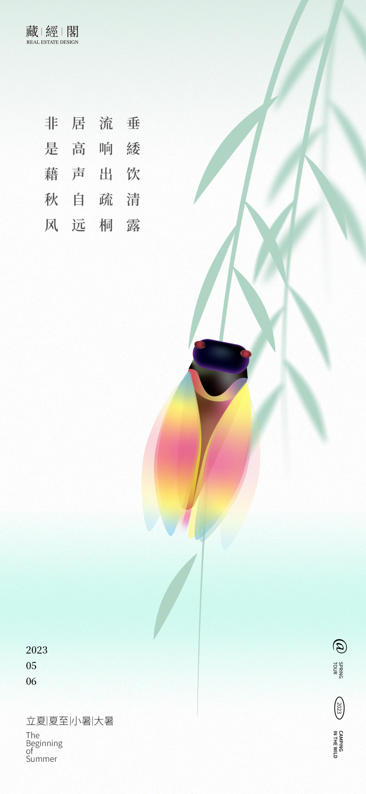 夏蝉