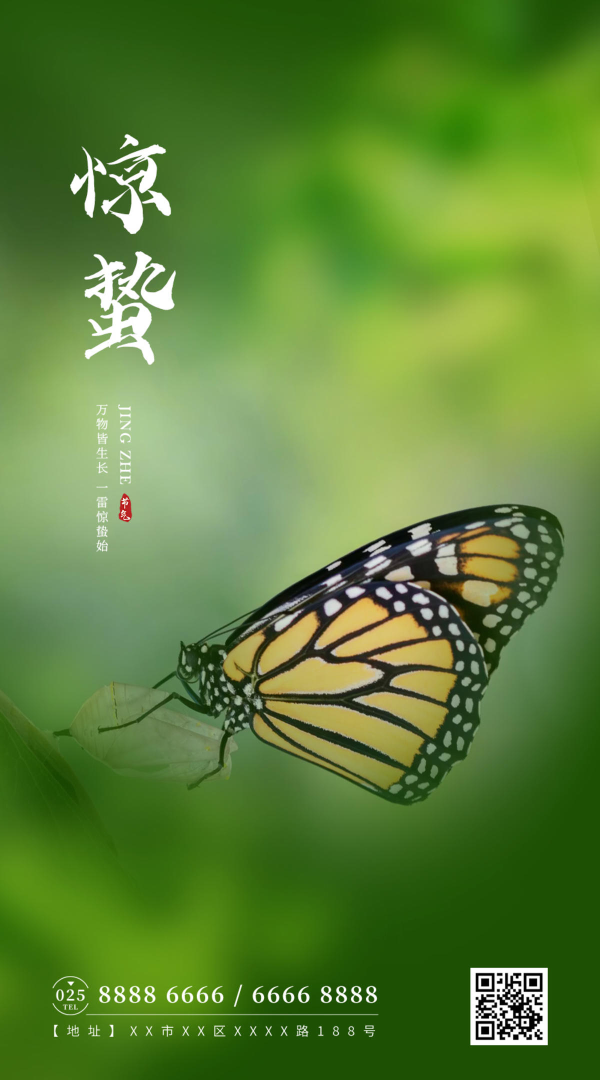 惊蛰节气海报