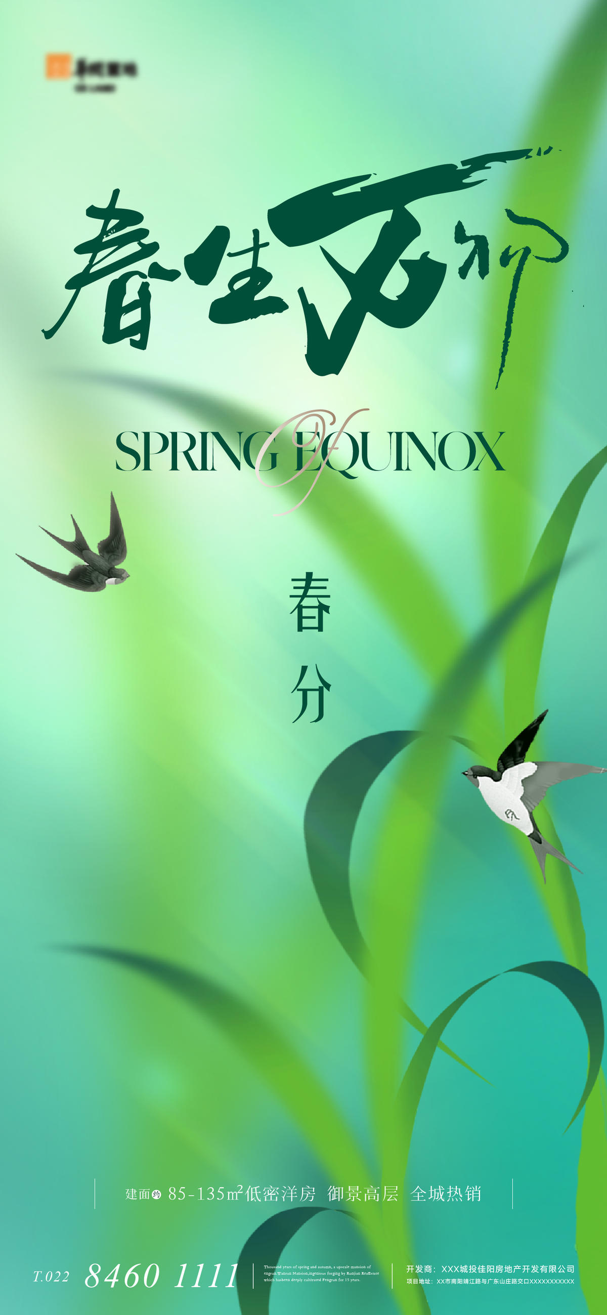 房地产春分节气刷屏海报