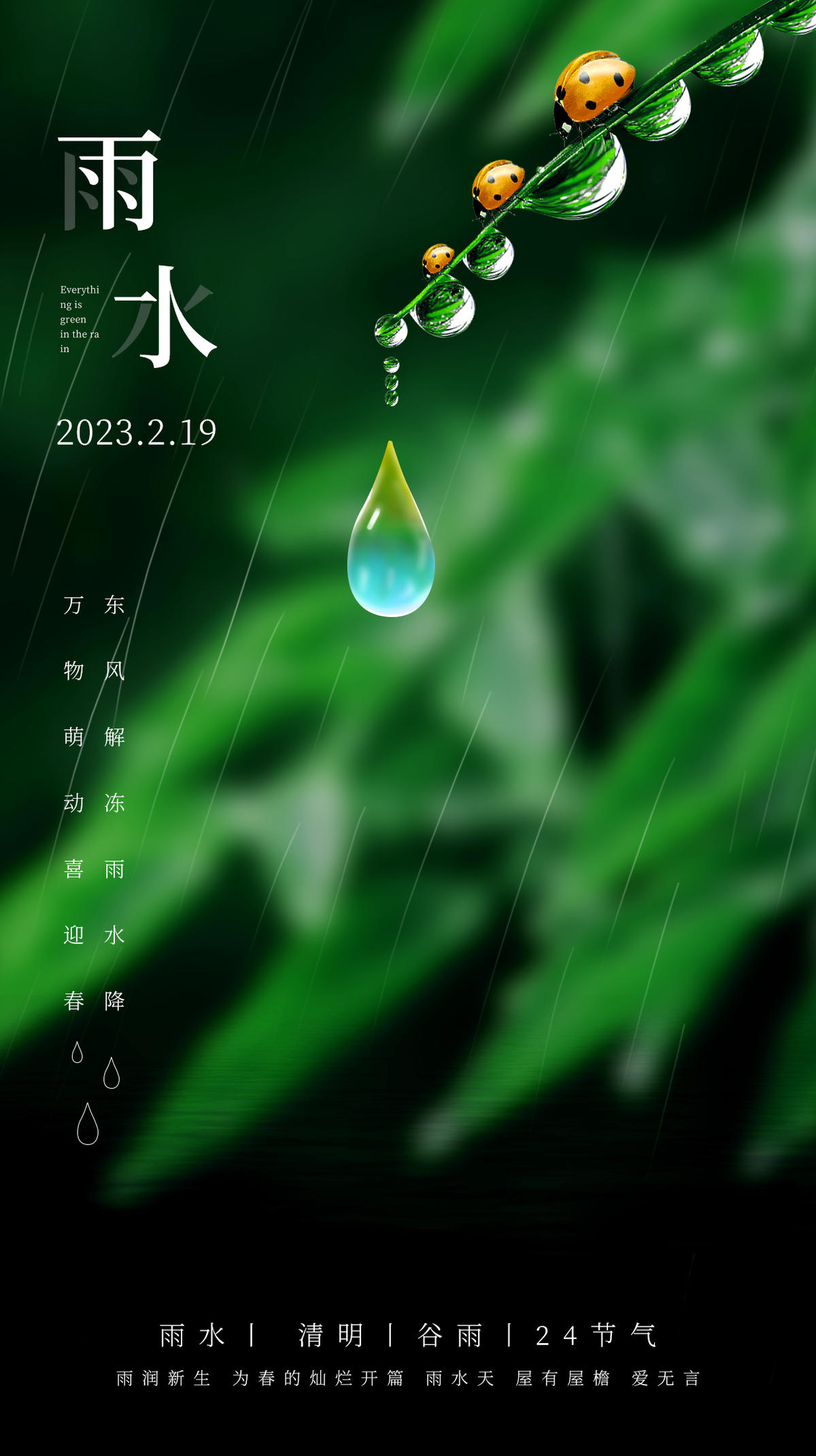 雨水白露竹叶蜻蜓节气海报