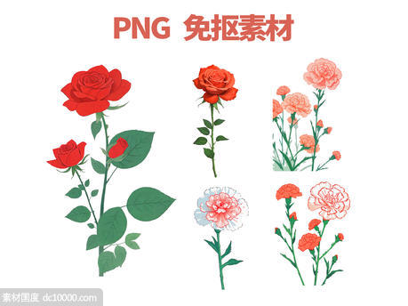 玫瑰花康乃馨花朵免抠素材PNG元素 - 源文件