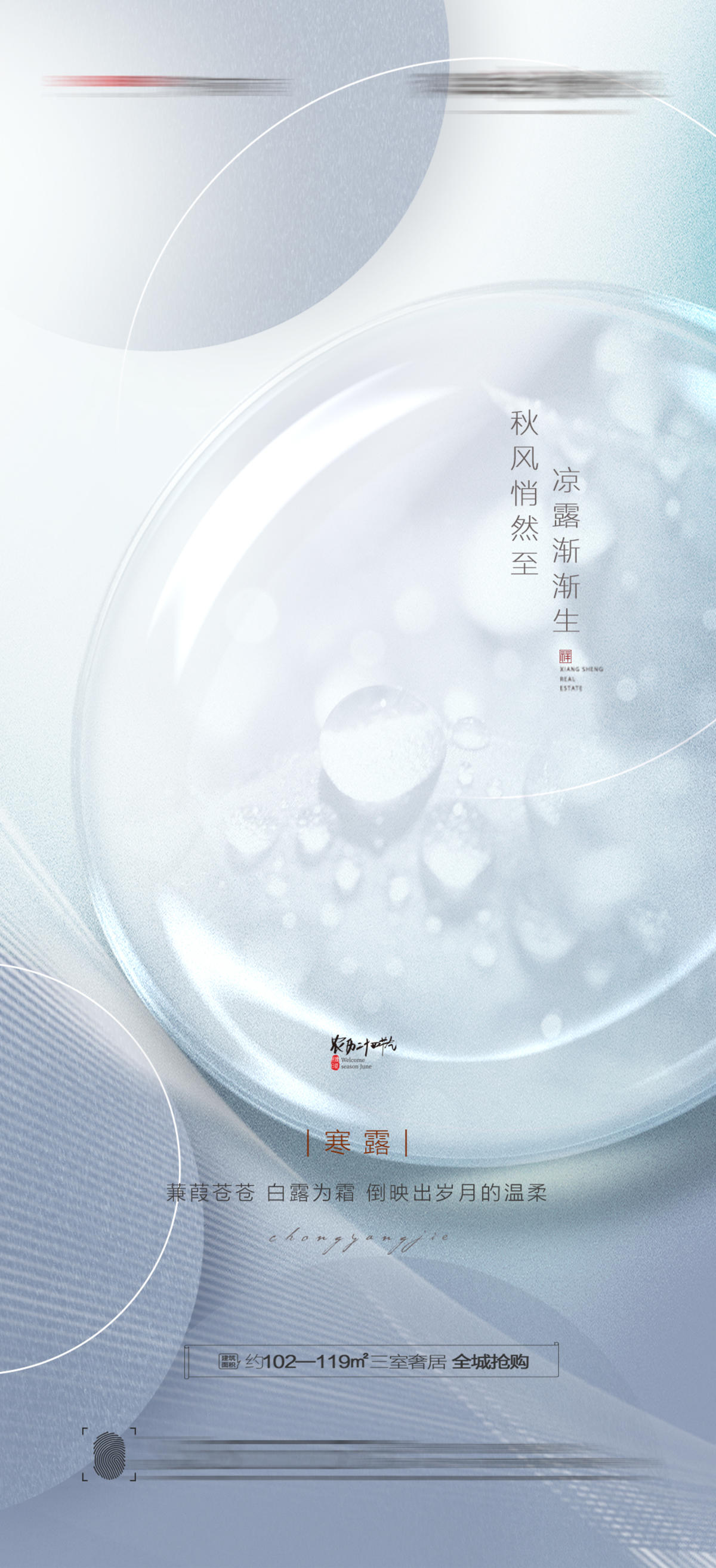 寒露节气海报