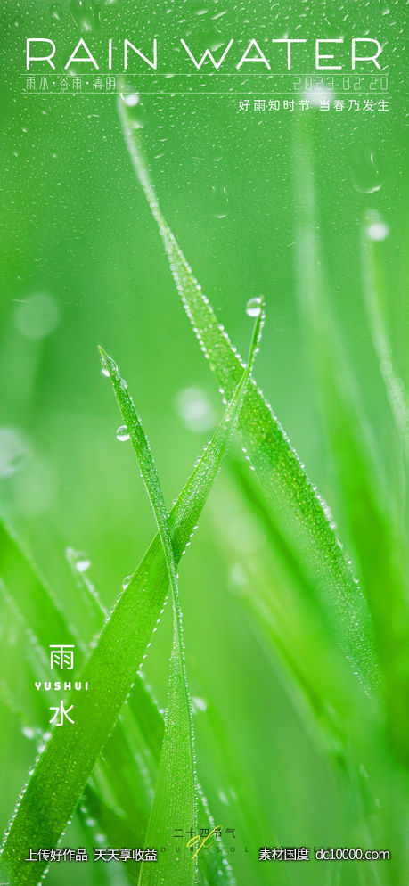 雨水节气海报 - 源文件