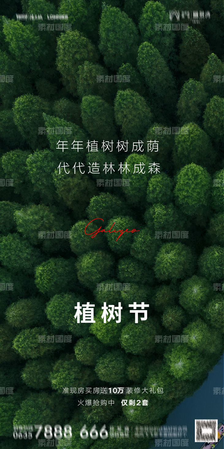 植树节 自然 森林 春天 海报