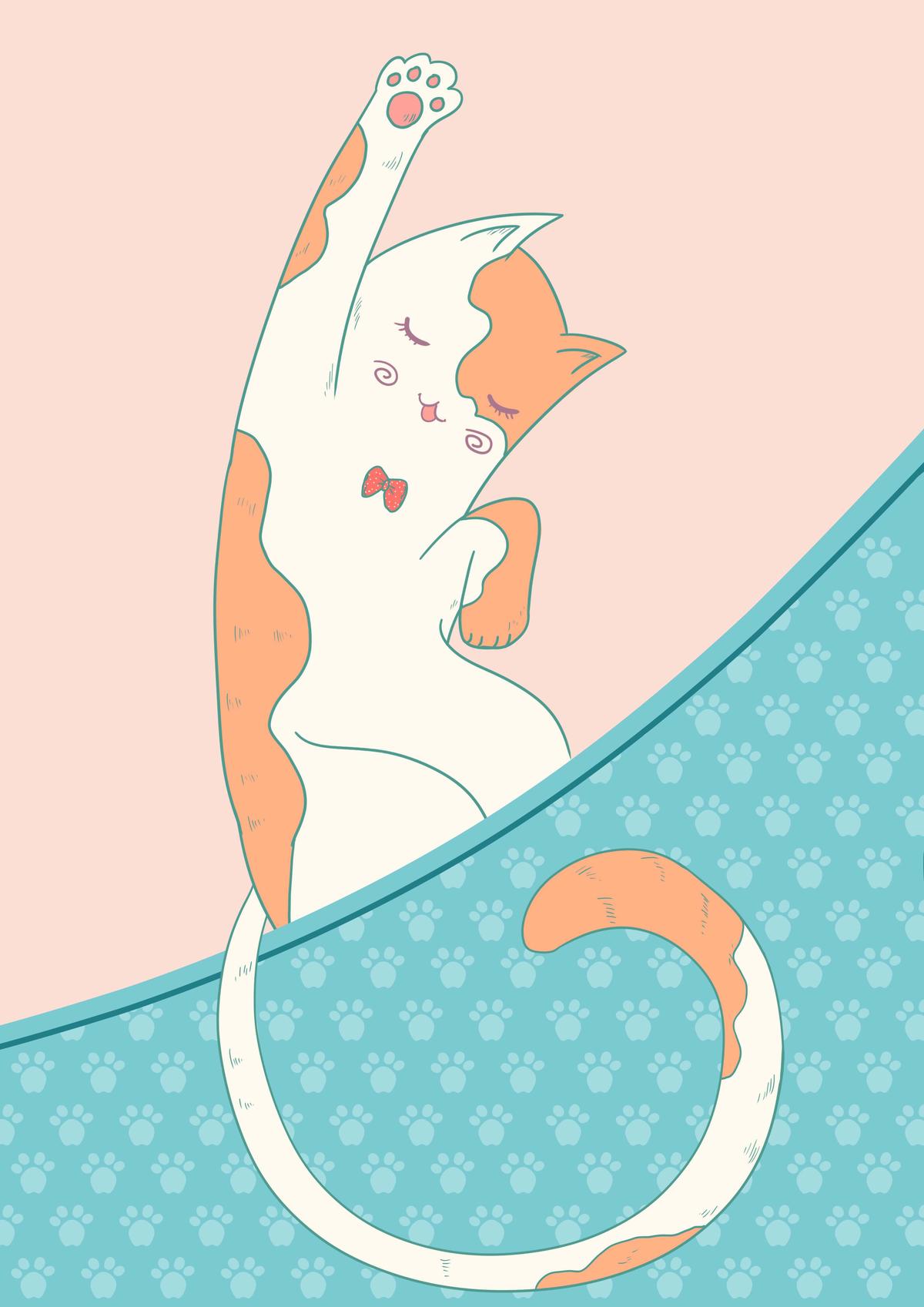 伸懒腰小猫咪