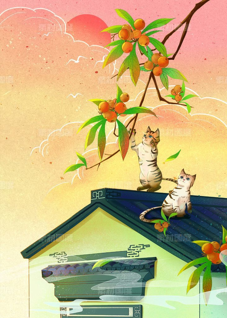 屋顶小猫