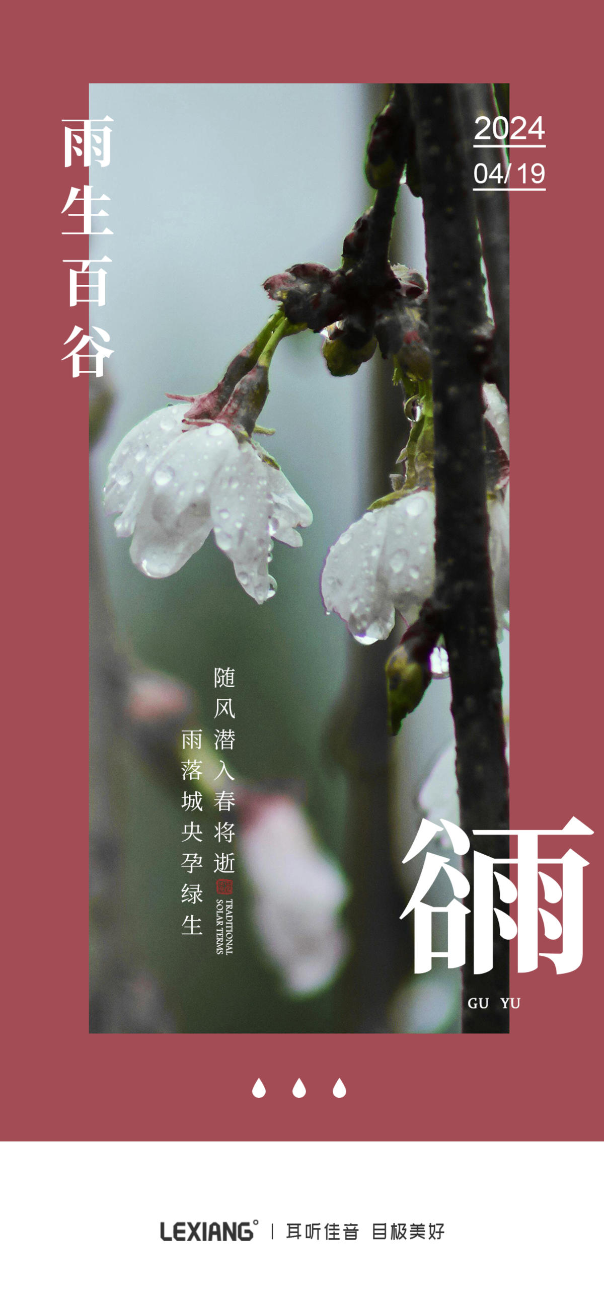 谷雨节气海报