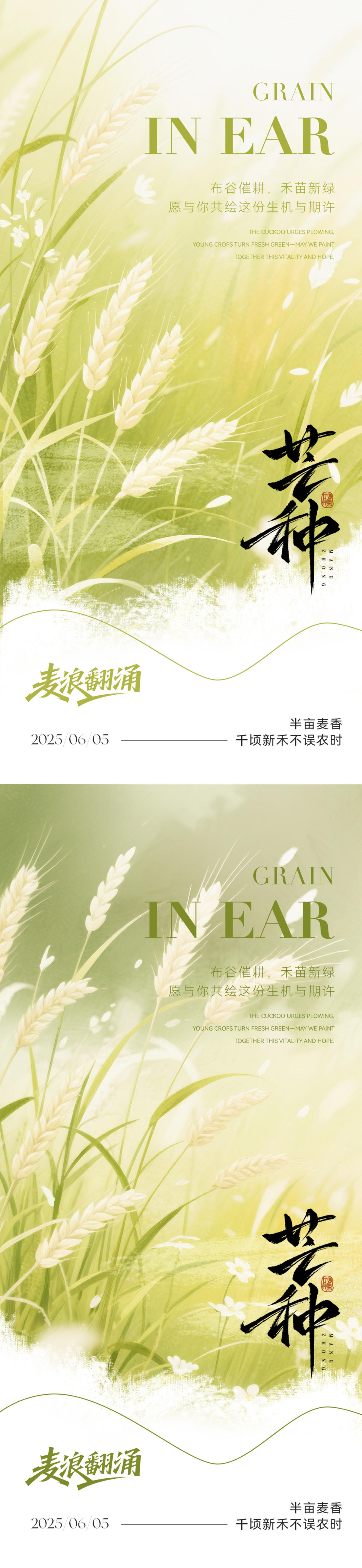 芒种节气海报