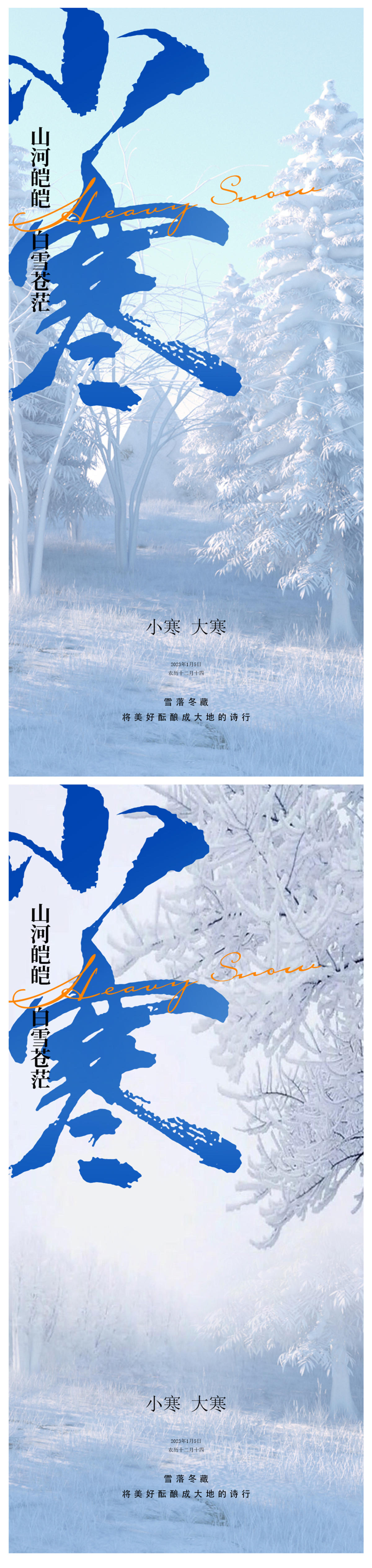 小寒大寒海报