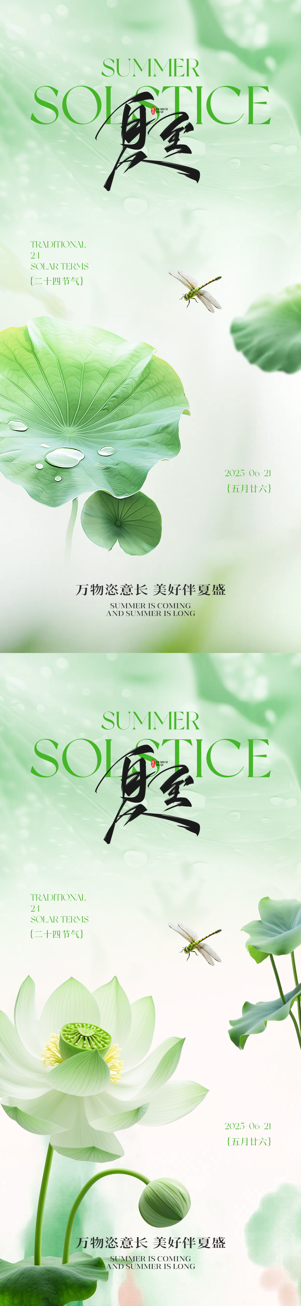 夏至节气海报