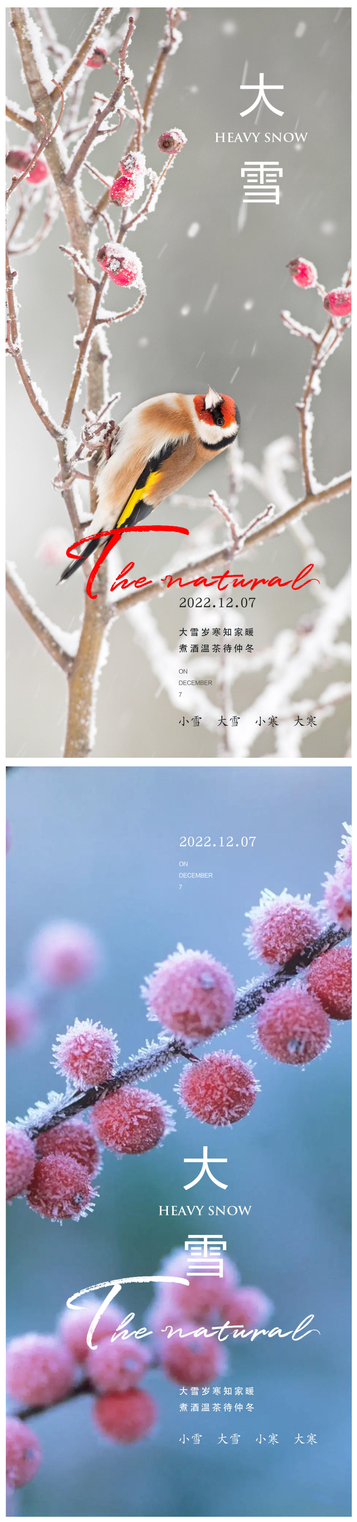 大雪海报