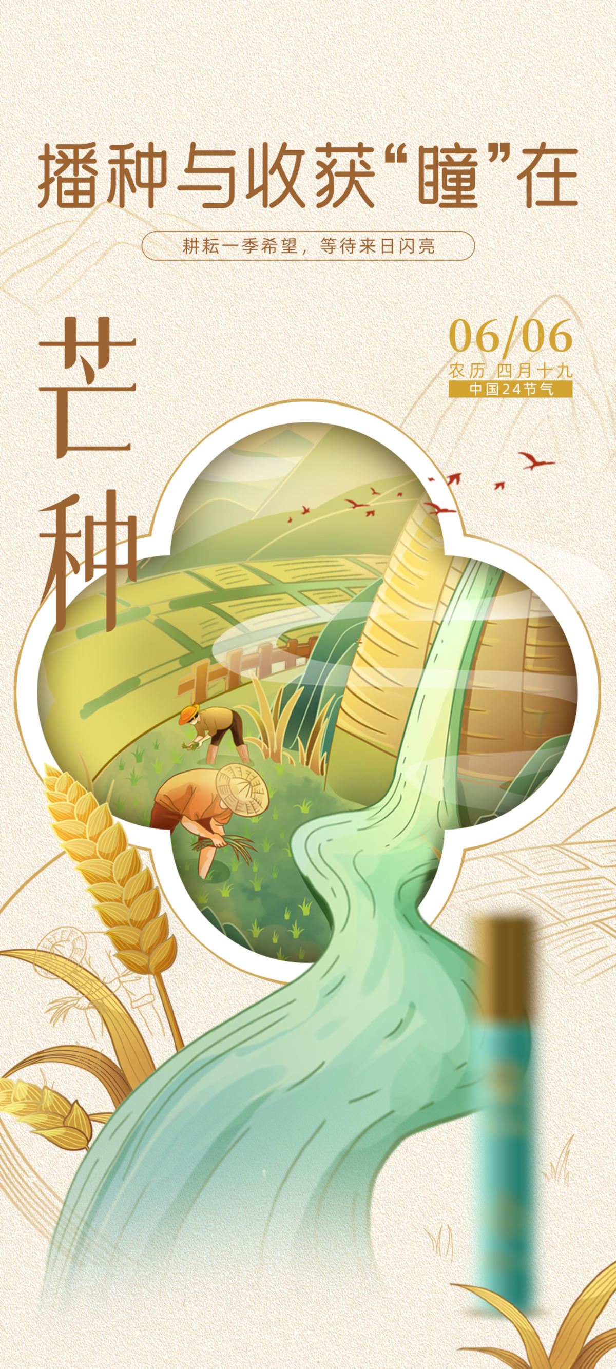 芒种 节气海报