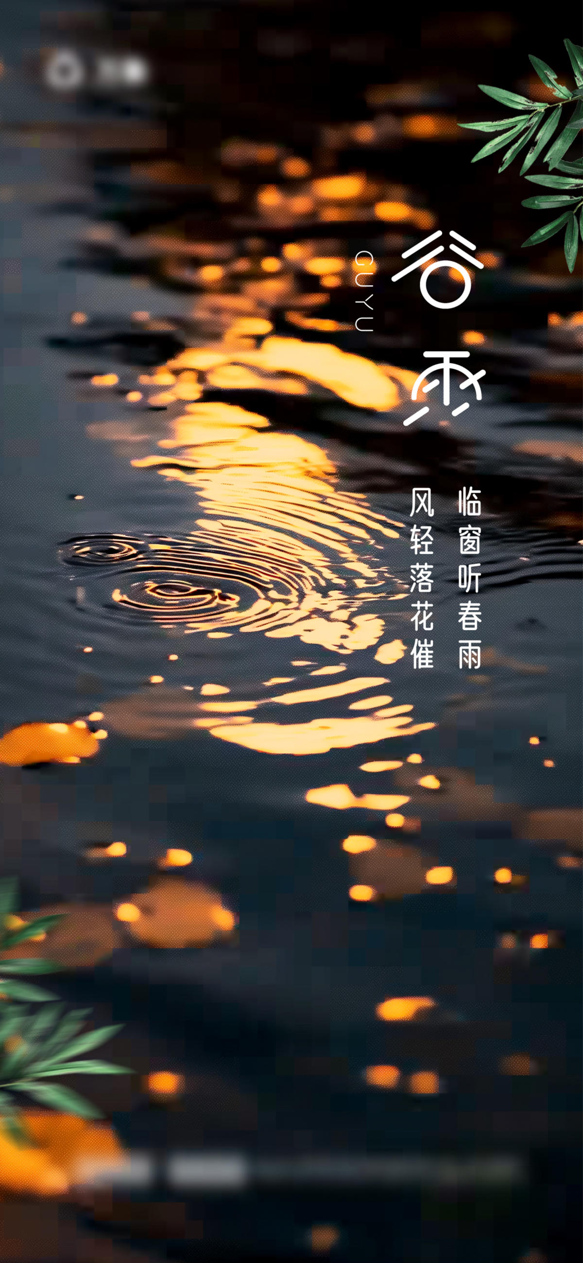 谷雨节气海报