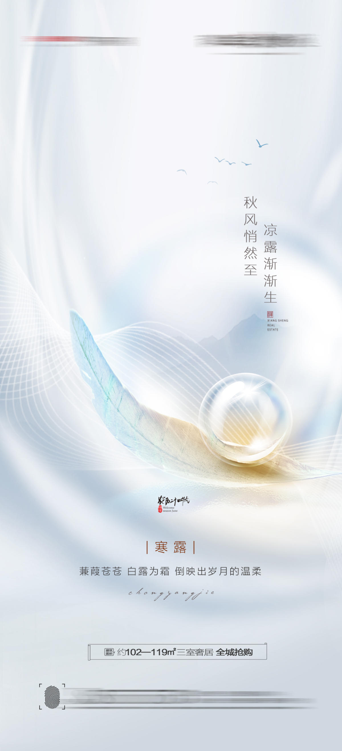 寒露节气海报