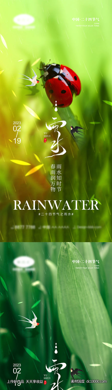 雨水节气海报 - 源文件