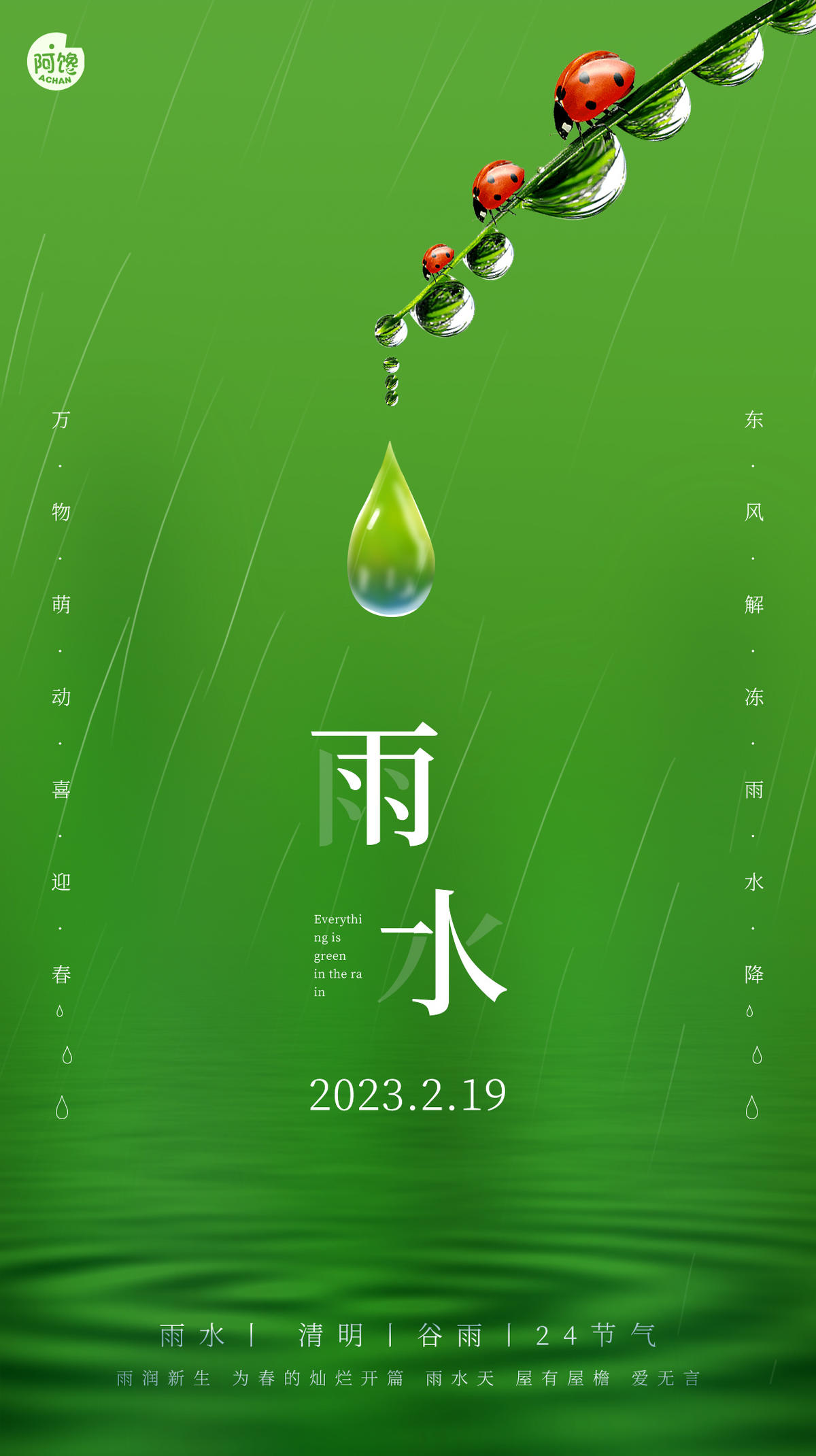 雨水白露竹叶蜻蜓节气海报