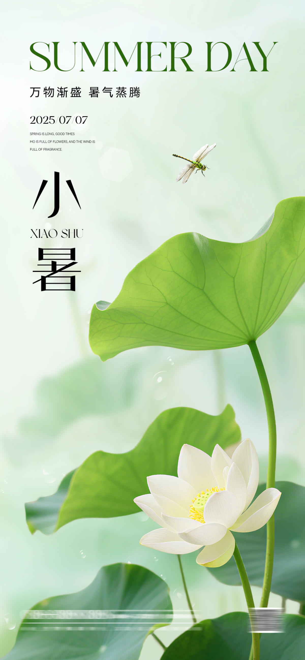 小暑节气简约海报
