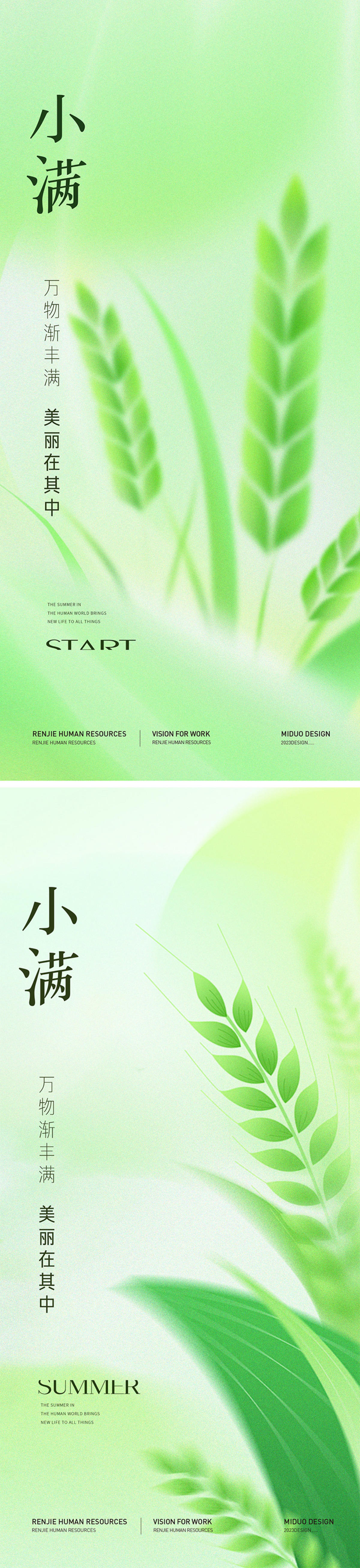 小满节气海报