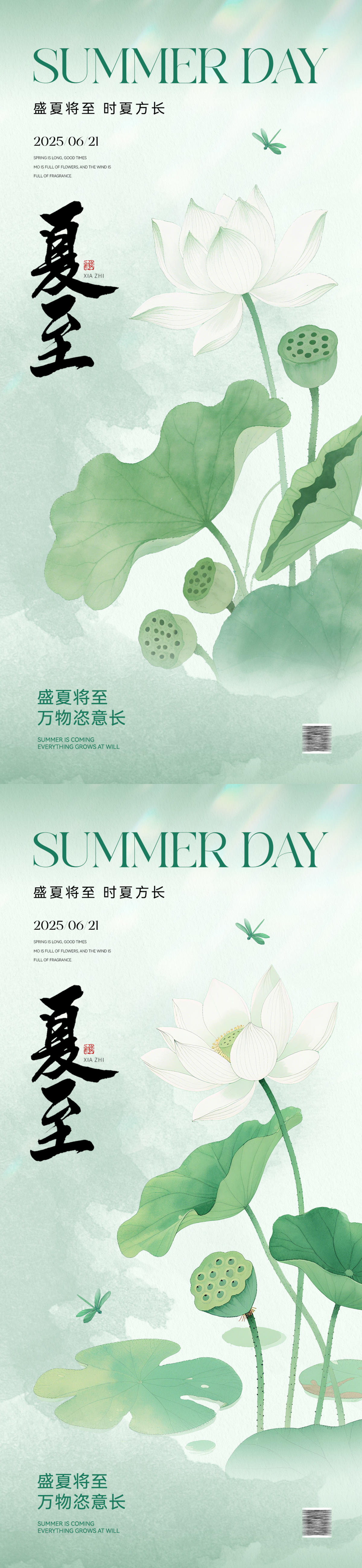 夏至节气海报