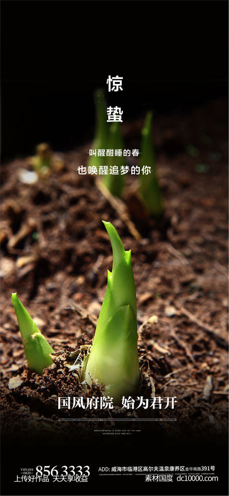 惊蛰 节气 立春-源文件-素材国度dc10000.com